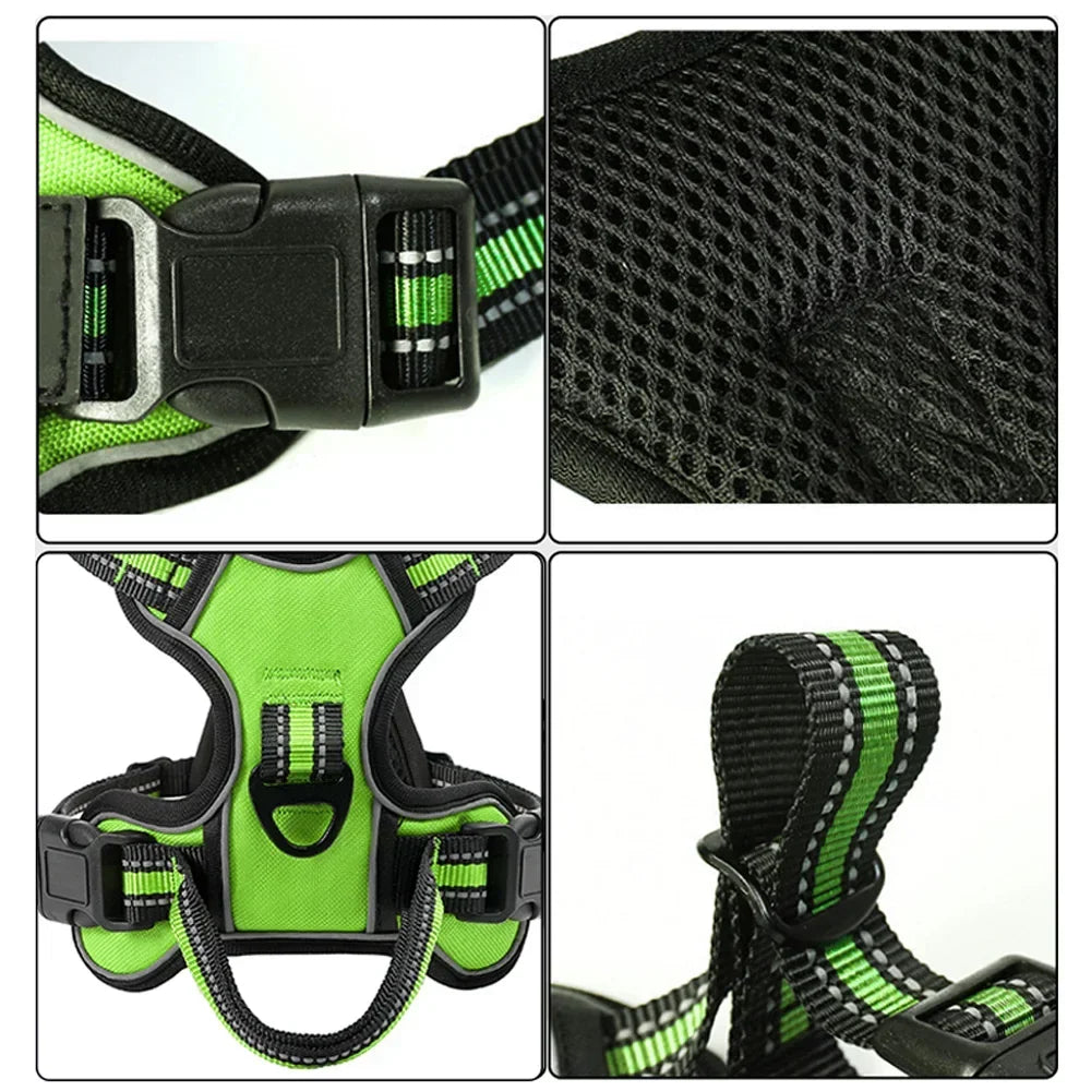 Adjustable No-Pull Dog Harness & Leash Set